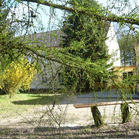 Apartamento Südseite Nossentiner Huette Exterior foto