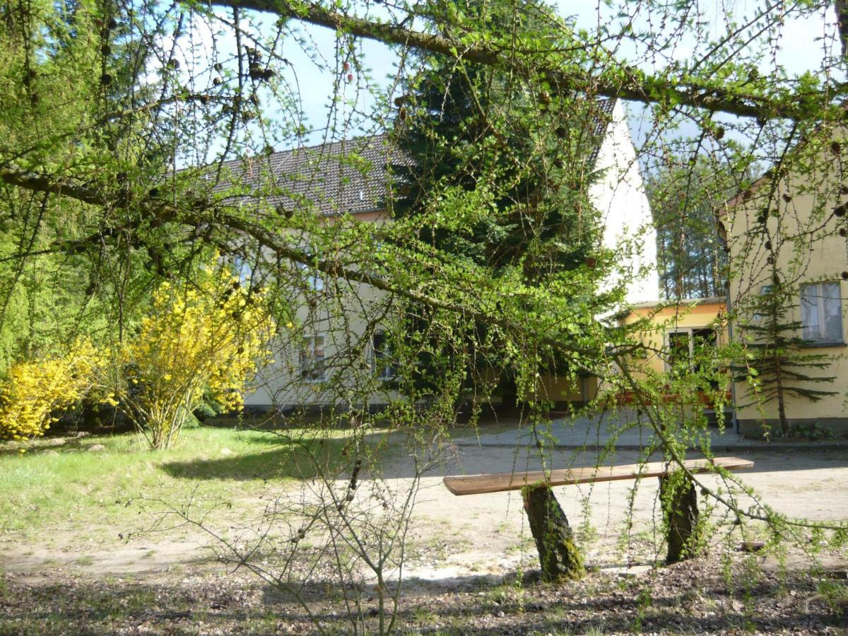 Apartamento Südseite Nossentiner Huette Exterior foto
